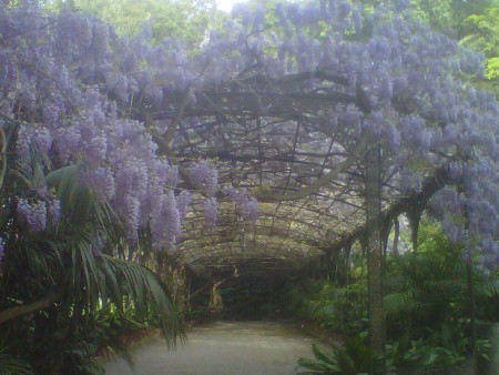 Jardín Histórico Botánico de la Concepción -Málaga 