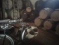/album/fotogaleria-inicio1/img-20120417-00137-jpg/